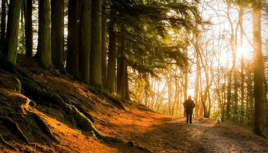 Embracing-the-Outdoors-Fun-Things-to-Do-This-Spring Perfectdae